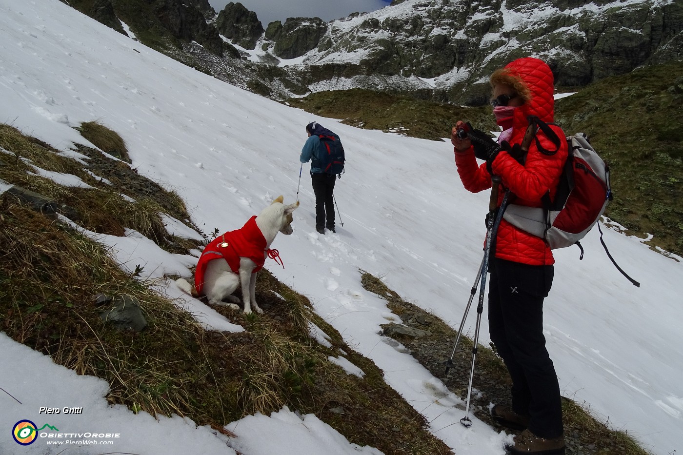 03 Sulla neve anche maggiolina verso i Laghettti di Ponteranica.JPG